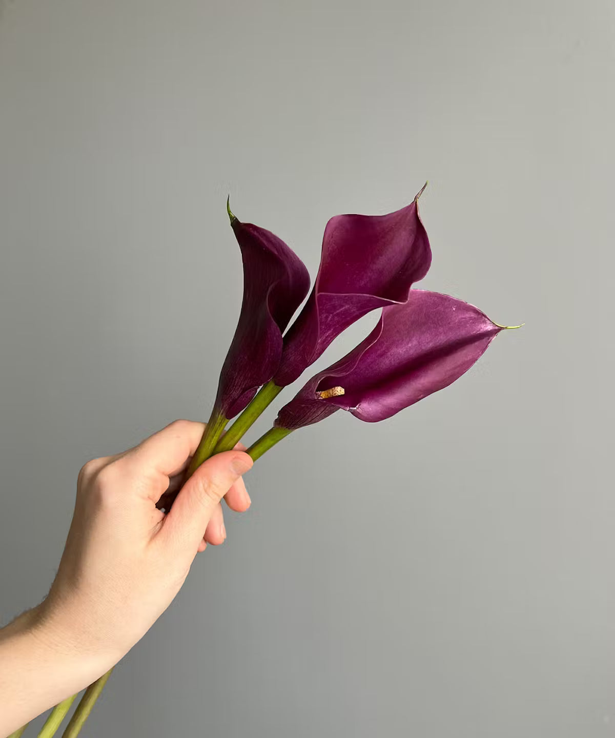 Calla Lily Mini Purple Bunch