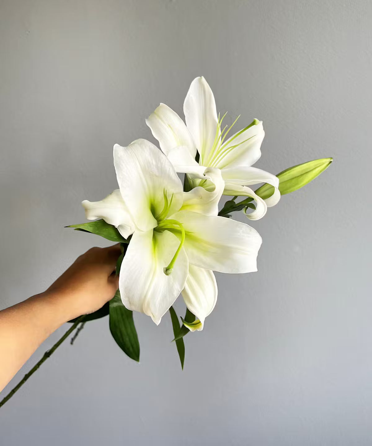 Lily Oriental White Bunch