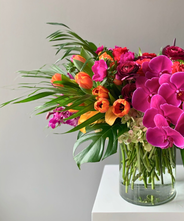 Tulip Orange Bunch