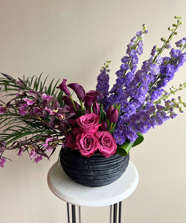 Delphinium Hybrid Purple Bunch