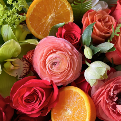 Citrus Splash