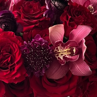 Velvet Garden