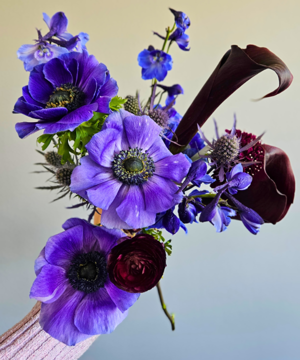 Anemone Blue Bunch