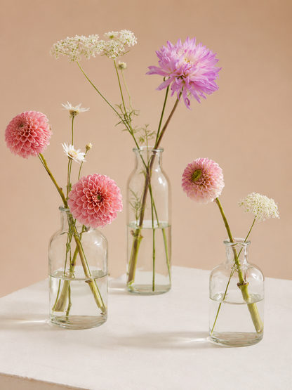 Billie Bottle Bud Vase [6 Pack]