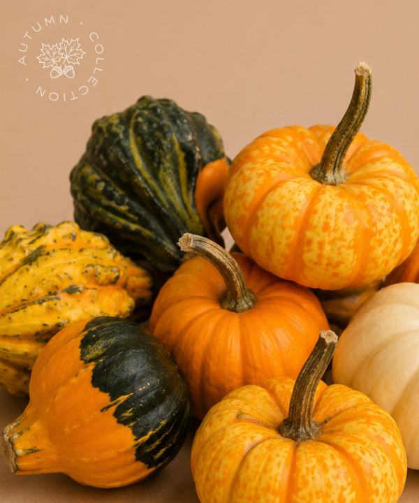 FALL Mini Assorted Gourds &amp; Pumpkins [8 pack]