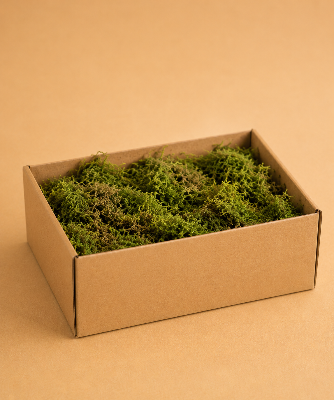 Sheet Moss 5lb Box