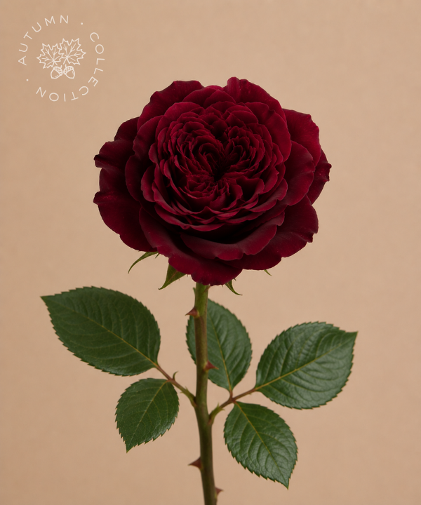 FALL Rose Burgundy Hearts Bunch