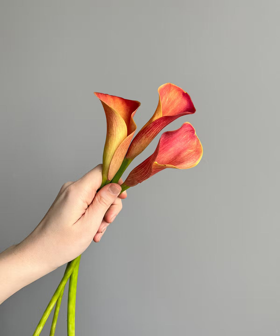 Calla Lily Mini Orange Bunch