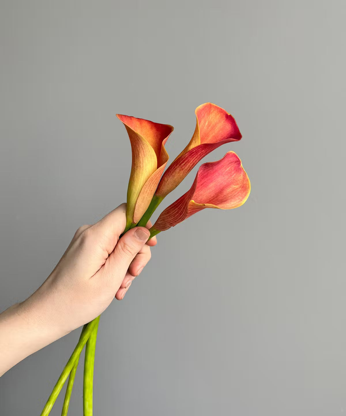 Calla Lily Mini Orange Bunch