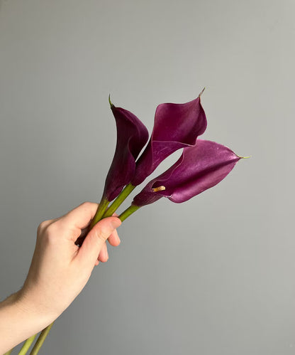 Calla Lily Mini Purple Bunch