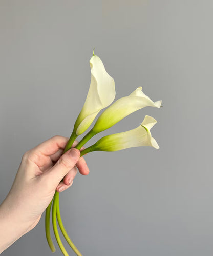 Calla Lily Mini White Bunch