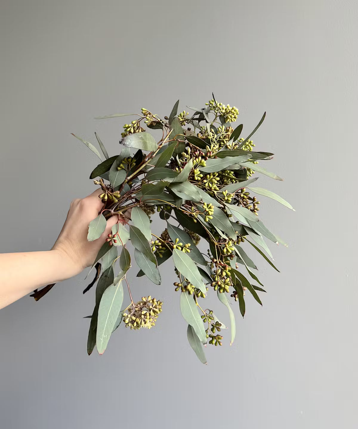 Eucalyptus Seeded Bunch