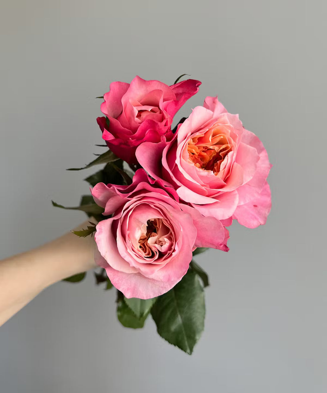 Garden Rose Pink Miyabi Bunch