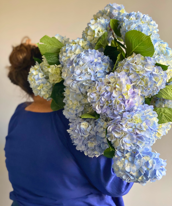 Hydrangea Light Blue Bunch