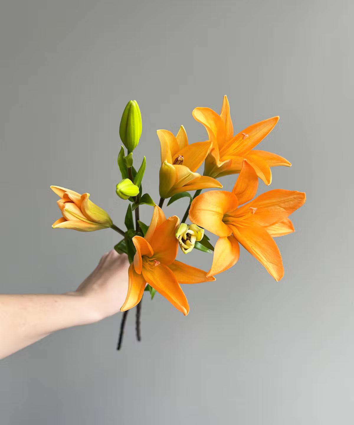 Lily Asiatic Orange Bunch