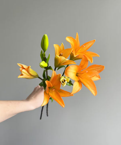 Lily Asiatic Orange Bunch