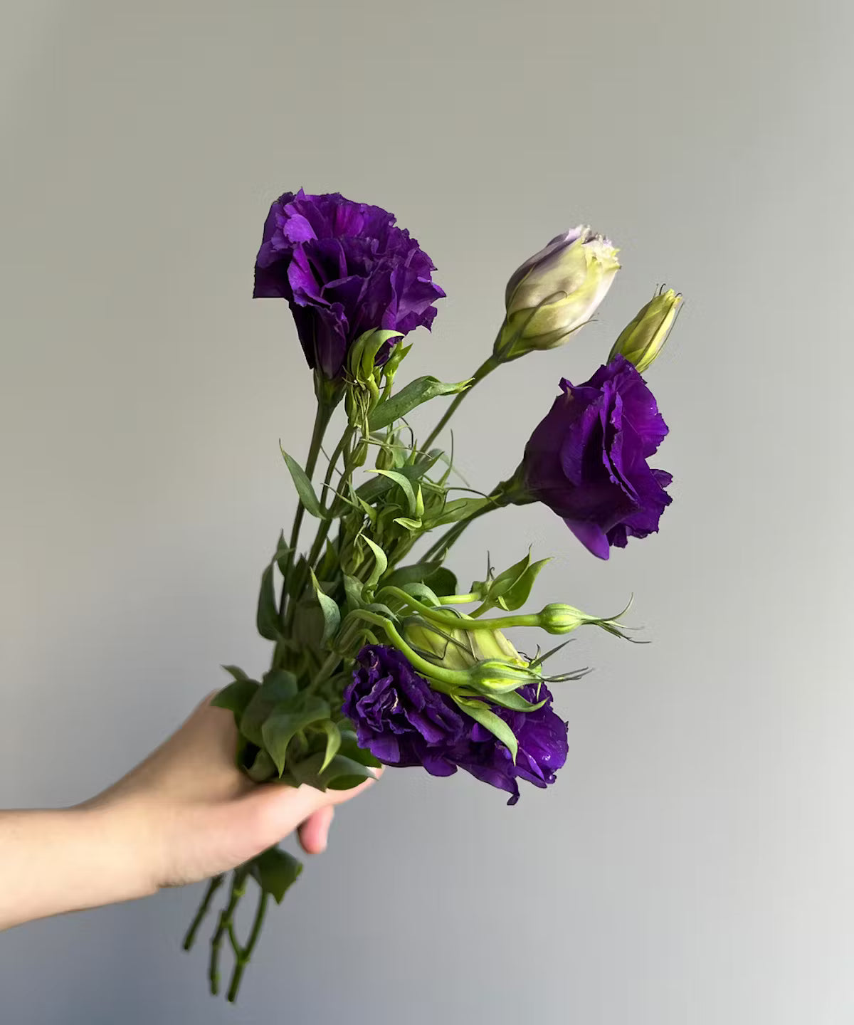 Lisianthus Purple Bunch