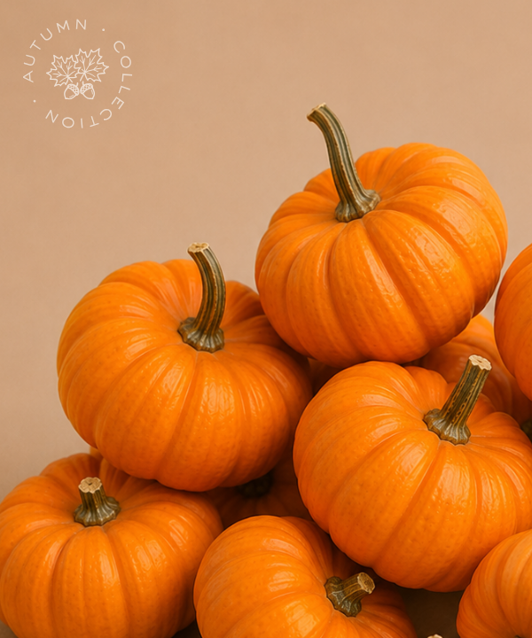 FALL Mini Pumpkins Orange [8 pack]