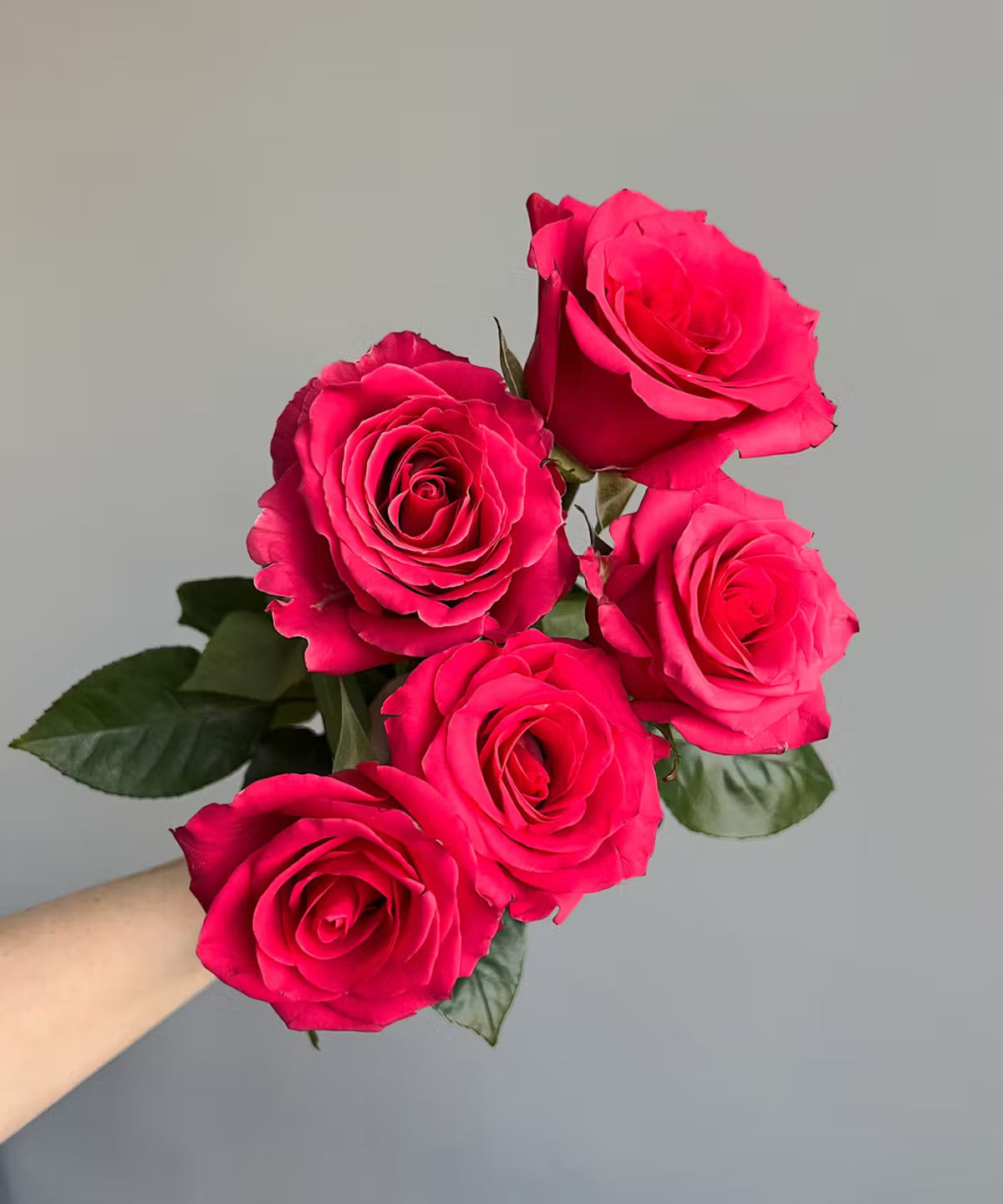 Rose Hot Pink Bunch