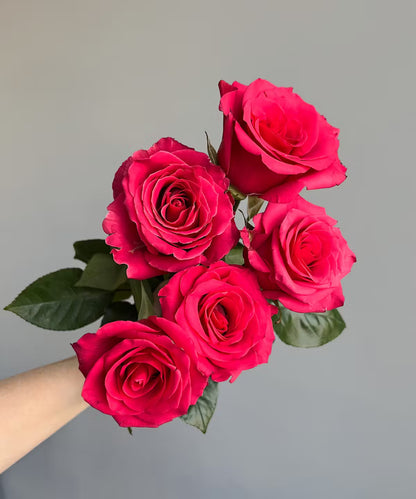 Rose Hot Pink Bunch