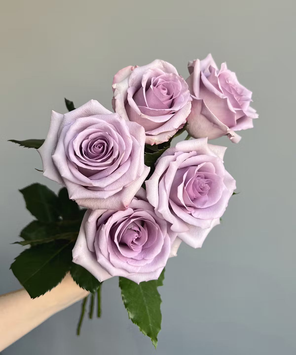 Rose Lavender Bunch