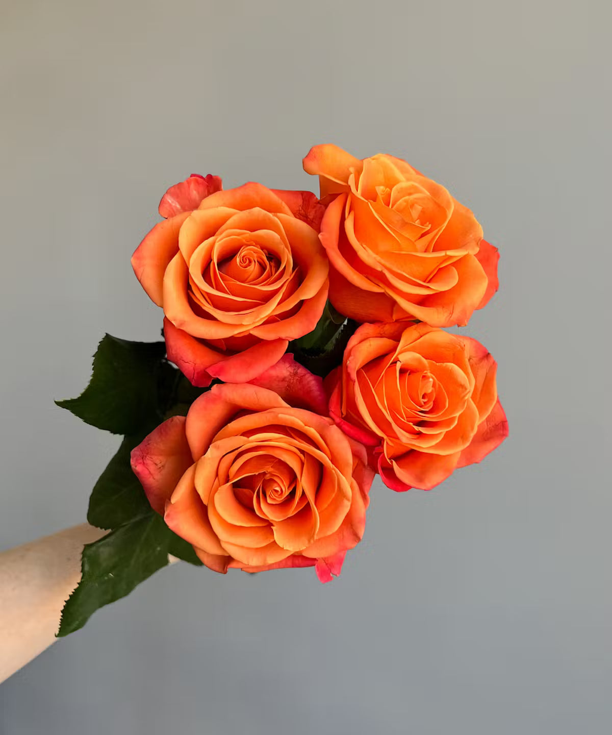 Rose Orange Bunch