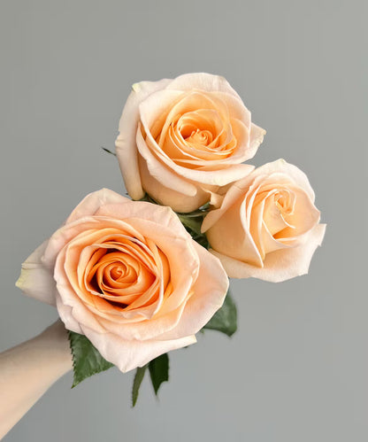 Rose Peach Bunch