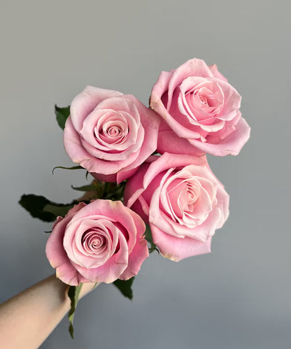 Rose Pink Bunch