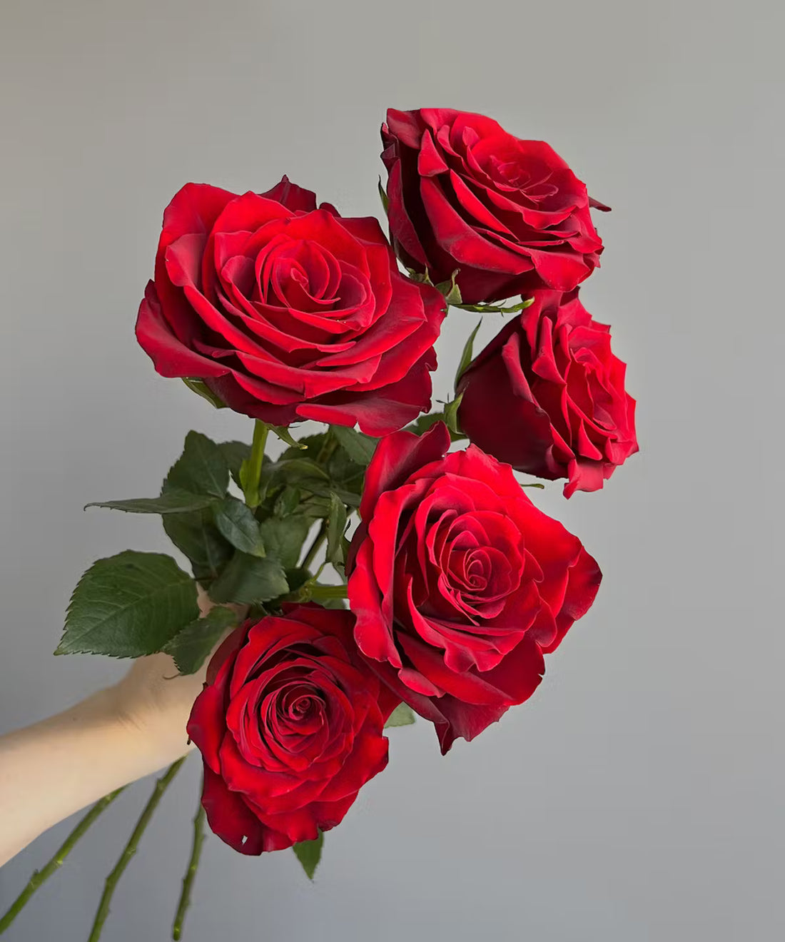 Rose Red Bunch