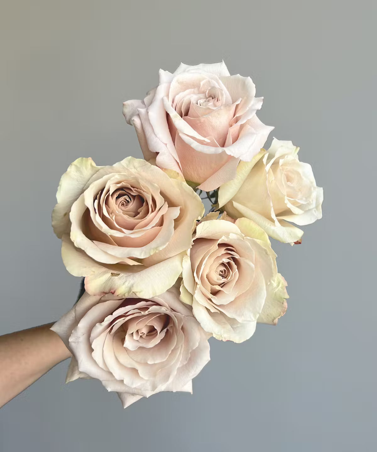 Garden Rose Beige Quicksand Bunch