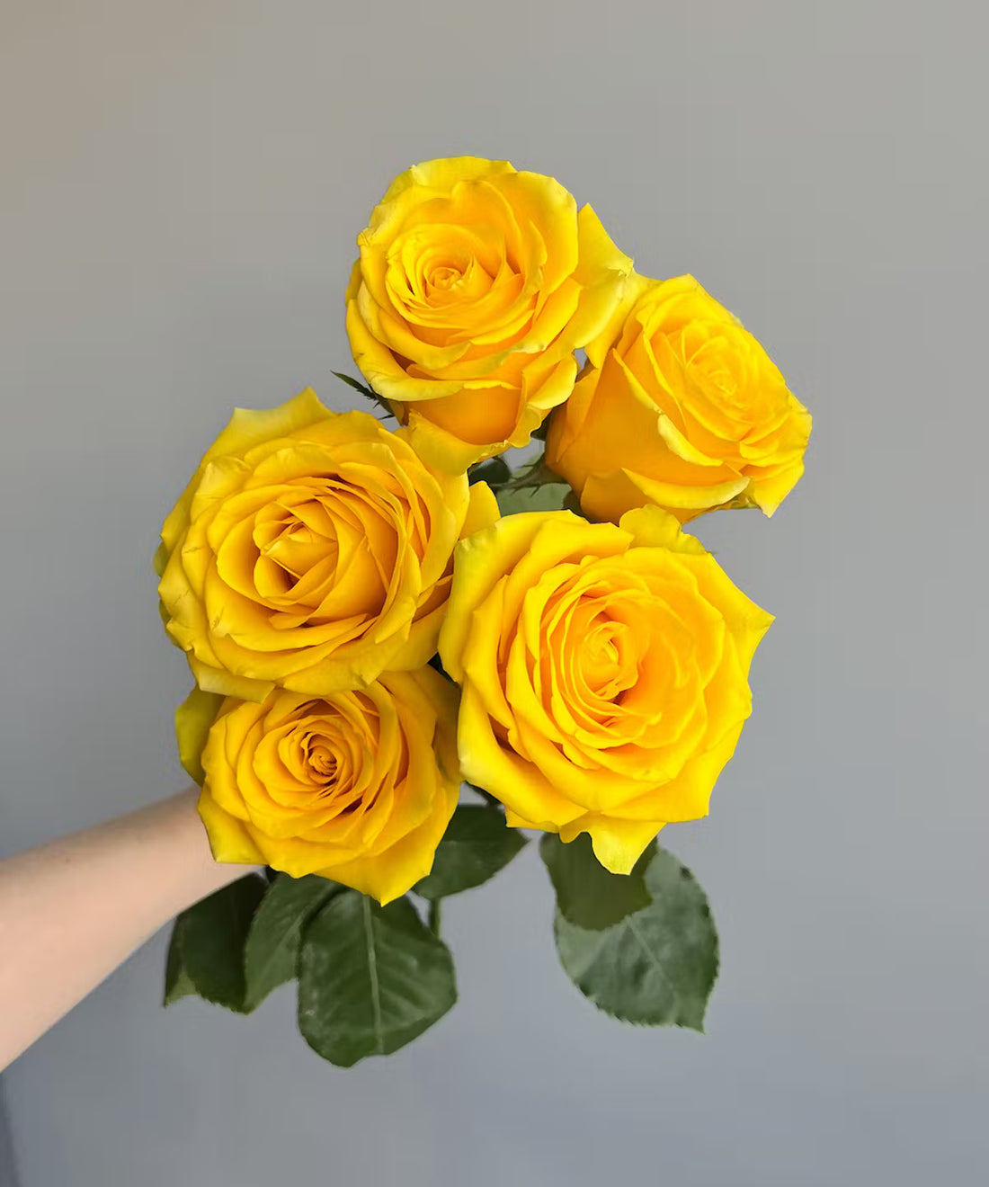 Rose Yellow Bunch