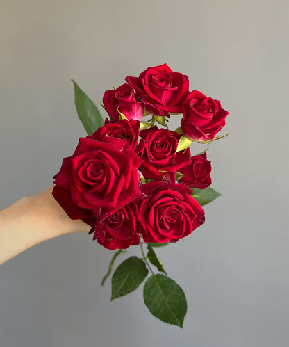 Spray Rose Red Bunch