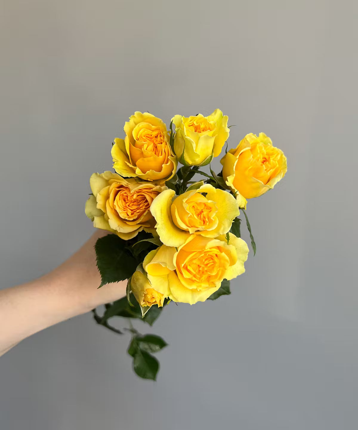 Spray Rose Yellow Bunch