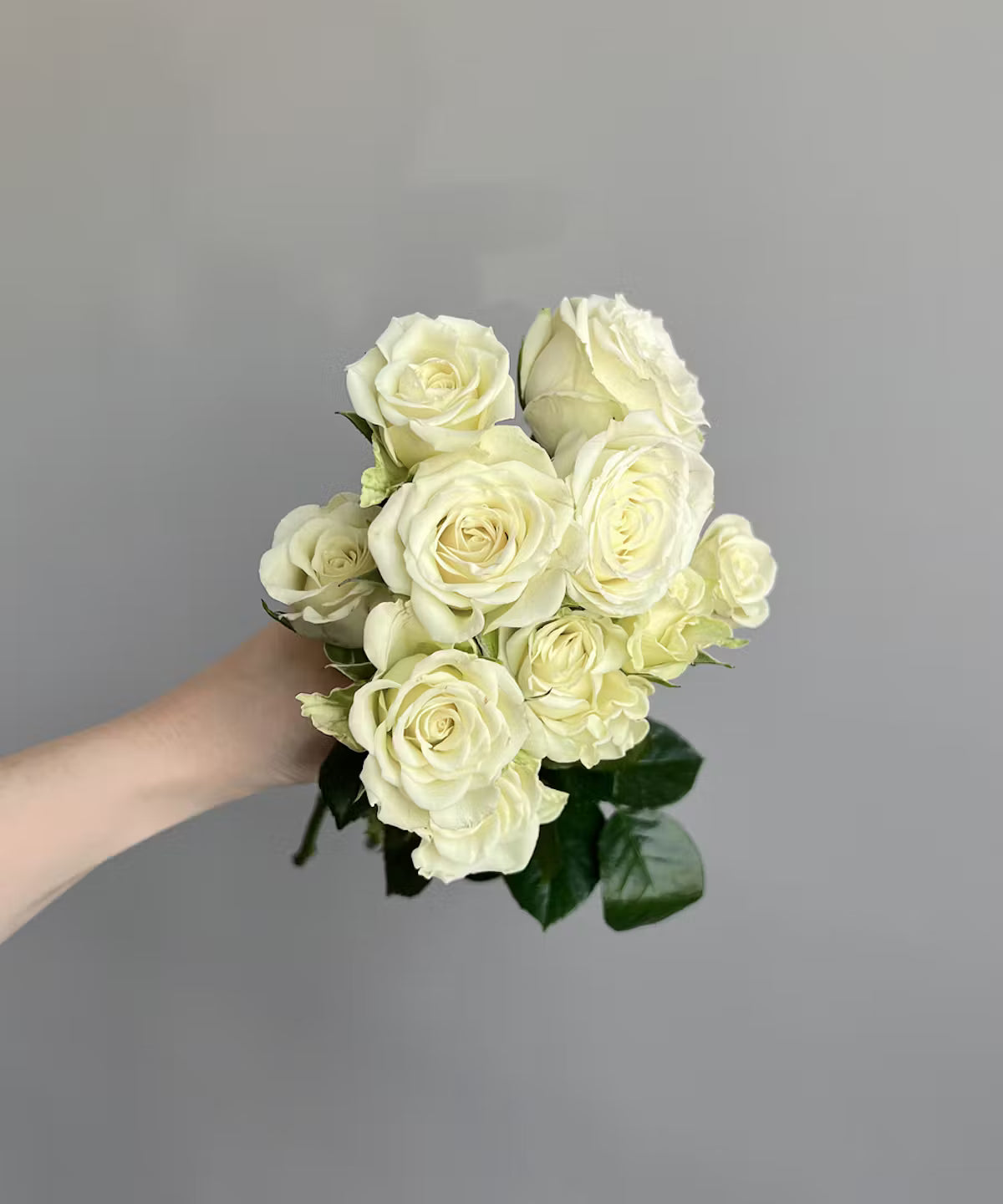 Spray Rose White Bunch