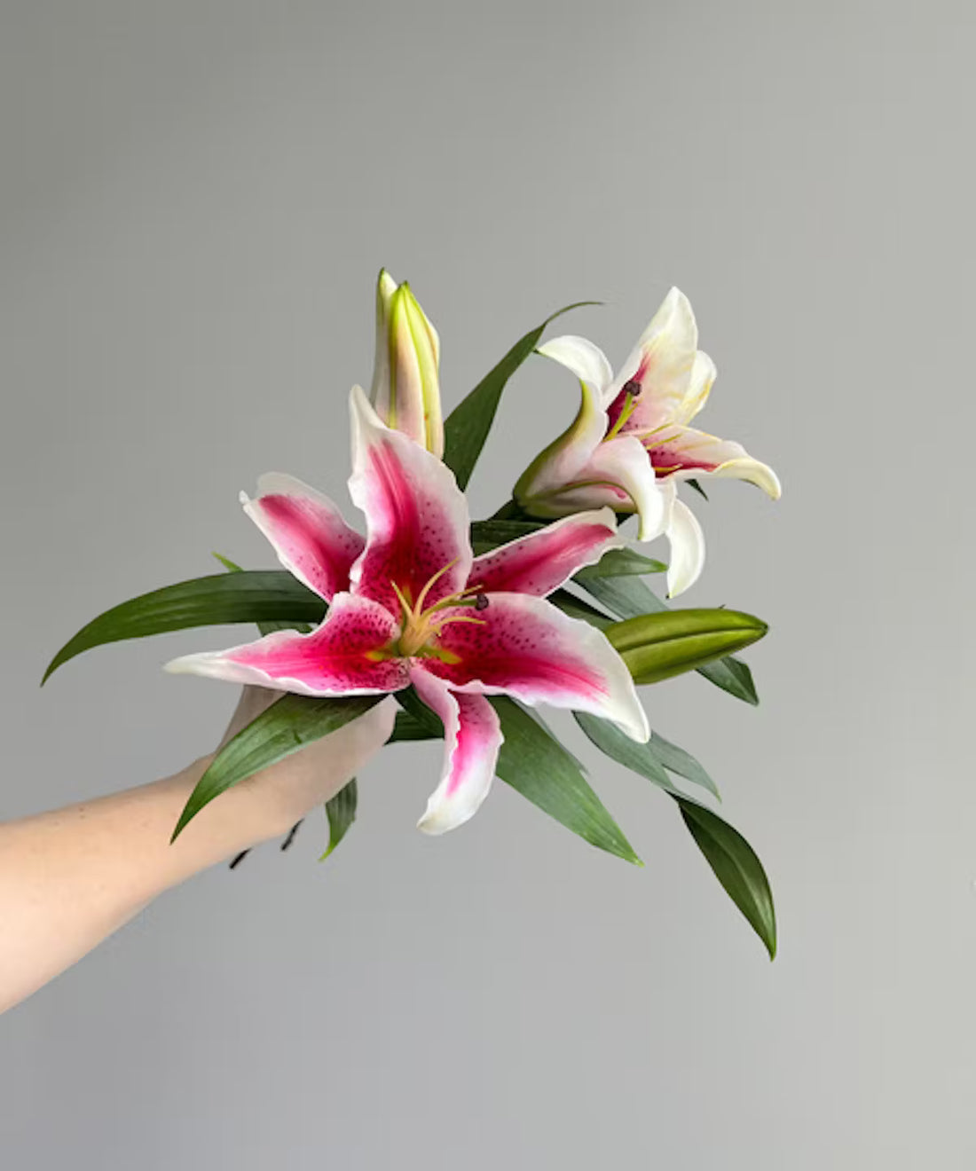 Lily Oriental Stargazer Bunch