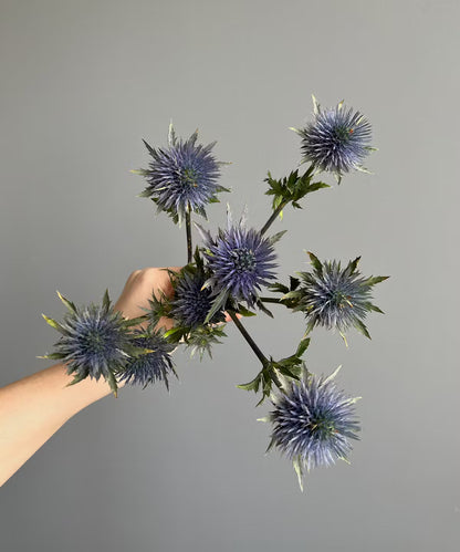 Thistle Bunch