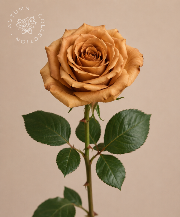 FALL Rose Toffee Bunch