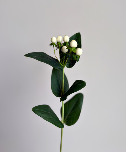 Hypericum Berries White Bunch
